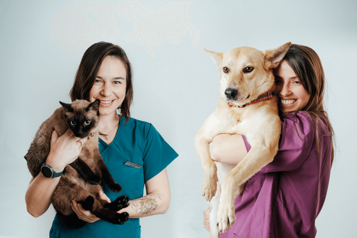 בית החולים הוטרינרי רחובות